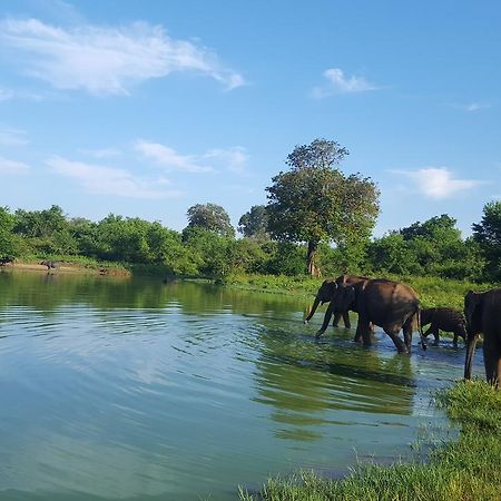 Kuma Safari Lodge อุดาวาลาเว ภายนอก รูปภาพ